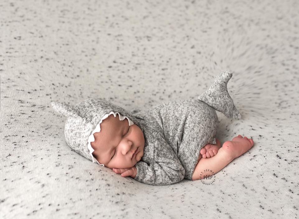 Gray newborn OR sitter shark hooded onesie